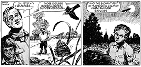 Mr. Crabtree Crusades: Insects and Flowers of the Iron Age